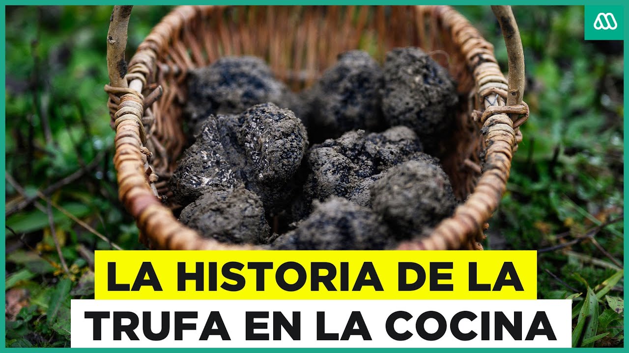 La historia del "oro negro": La trufa y su alto valor en la cocina