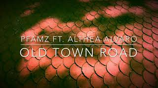 OLD TOWN ROAD - Lil Nas X ft. Billy Ray Cryrus | PFAMZ w\/ Althea Alvaro - Dance Cover