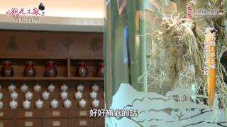 炳翰人參王國