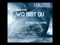 Wo Bist Du by Rammstein (Instrumental cover by HaGss) - 2010