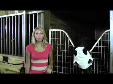 abraham lincoln quotes Racing 101: Katie Mikolay On Blinkers