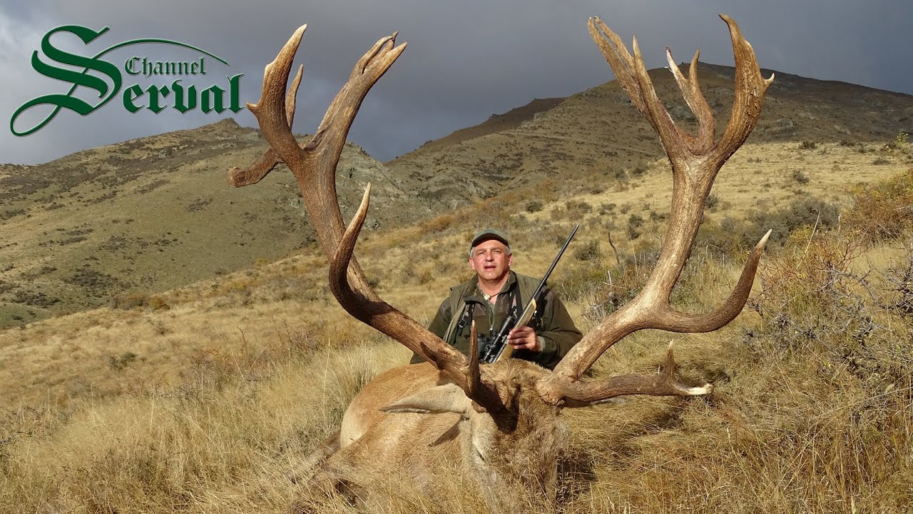 Red Deer Hunting In New Zealand YouTube red-deer-hunting-in-new-zealand-youtube