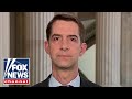 Cotton: Supreme Court will lose 'all legitimacy' if court-packing passes