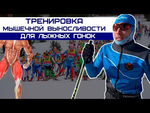 Лыжные гонки, тренировка мышечной выносливости для лыжников