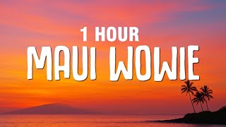 [1 HOUR] Kid Cudi - Maui Wowie (Lyrics)