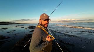 Chasing Cod in Northumberland