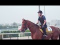 Jockey Florent Geroux talks Dubai World Cup repeat with Hit Show