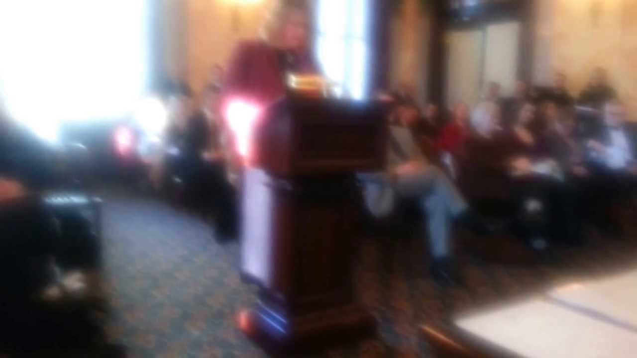 Ohio Fibromyalgia Resolution SCR23 Testimony E Michelle Lee