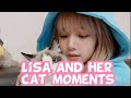 LISA PLAYING WITH HER CAT MOMENTS