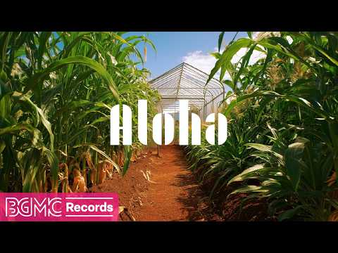Hawaiian Music for Focus & Productive Flow | Tropical Farm Path and Fresh Sounds for Deep Thinking