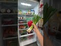 cooking time🍲 #cooking #aireels #reelsinstagram #reelsindia #usatoday #trendingvideo #shortsviral