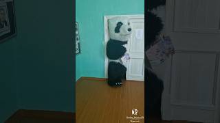 На урок литературы ворвалась огромная панда🐼 #shorts