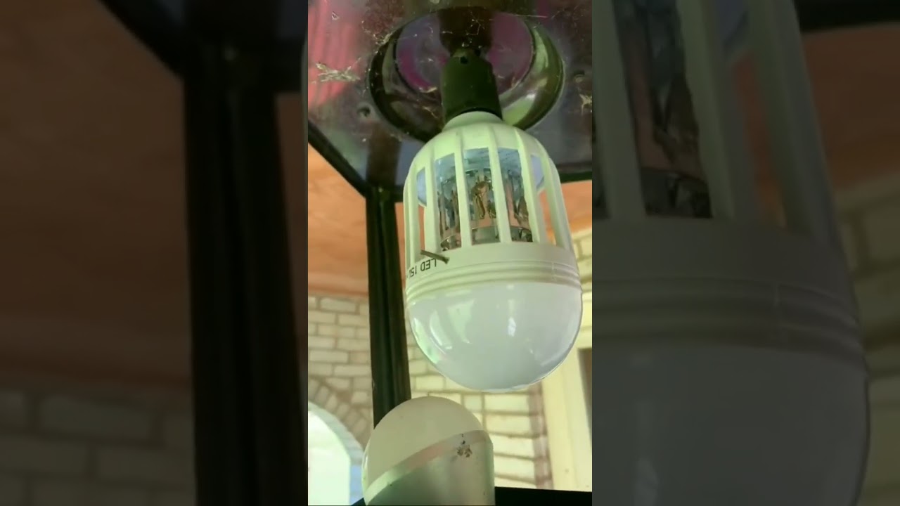 Bug Killer Light Bulb