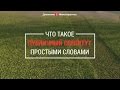 Публичный сервитут на торгах по банкротству: когда и зачем устанавливается