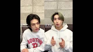 Ferret Hyunjin And Hamster Han