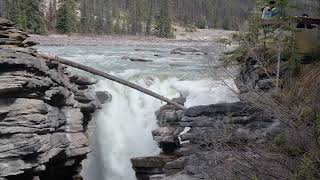 Athabasca Waterfall 1