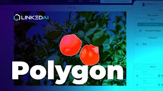 🟨 Polygon annotation using LinkedAI| 3️⃣ Data annotation software Wealth