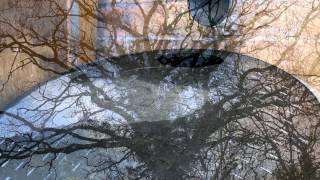 4K Video -Textures