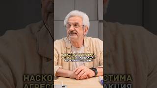 Насколько допустима агрессия как реакция на манипуляцию? | Александр Колмановский #психология