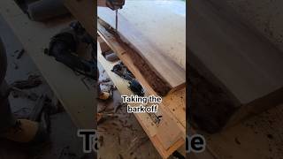 debarking a live edge piece #shorts #woodworking #epoxy #wood #satisfying #liveedgewood