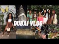 DUBAI TRAVEL VLOG 🇦🇪| WE GOT WAYY TOO LITT !! + DUBAI MALL + DINNER AT BURJ KHALIFIA &amp; MORE (PART 3)