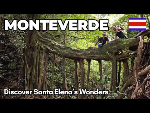 What Places To Visit In Santa Elena, Costa Rica (Monteverde)