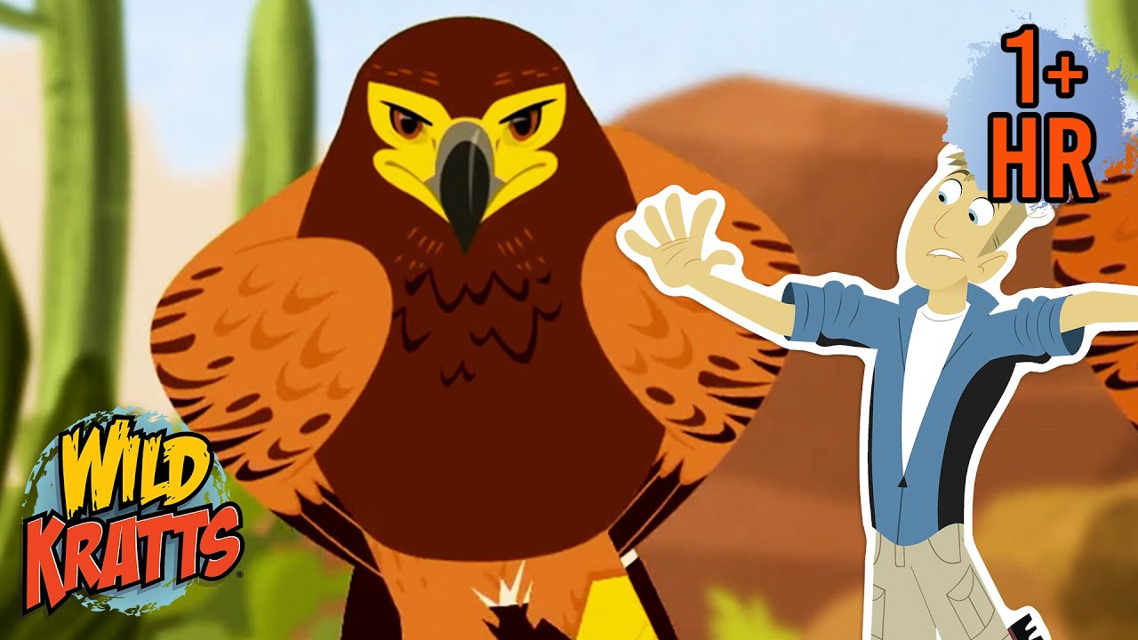Feisty Jack Rabbit vs Hawk | Creature Battles | Wild Kratts