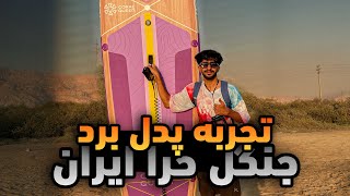 بنظر شما پدل برد در جنگل حرا یا دریا 🐳
