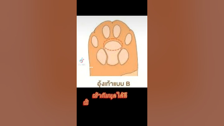 อุ้งเท้าน้องแมวบอกนิสัย