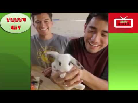 Top 10 Magic Tricks 2016 AMAZING MAGIC TRICK1