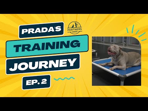 Prada: Episode 2