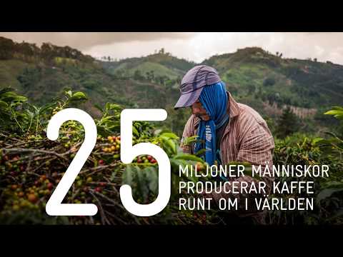 Video: Hantverk Från Kaffebönor