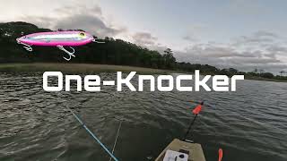 Lake Rudee Virginia Beach Fishing - Bluefish on Topwater Lures in the Kayak | #fish #fishing #kayak