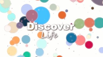 Atoms / Molecules Vibration - Lofi Music (Collaboration with ChatGPT) - Deep Focus [Discover Life]