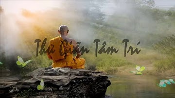 Nhạc Thiền Tĩnh Tâm - Nghe Để Xóa Đi Muộn Phiền - Ưu Tư Trong Cuộc Sống