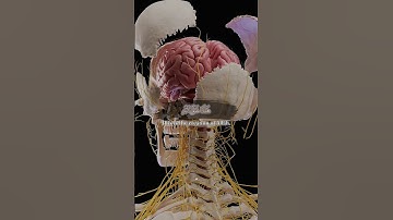 هَٰذَا خلق الله | Haza Khalqullah | آيات عظيمة | #اكسبلور #quran #القرآن_الكريم