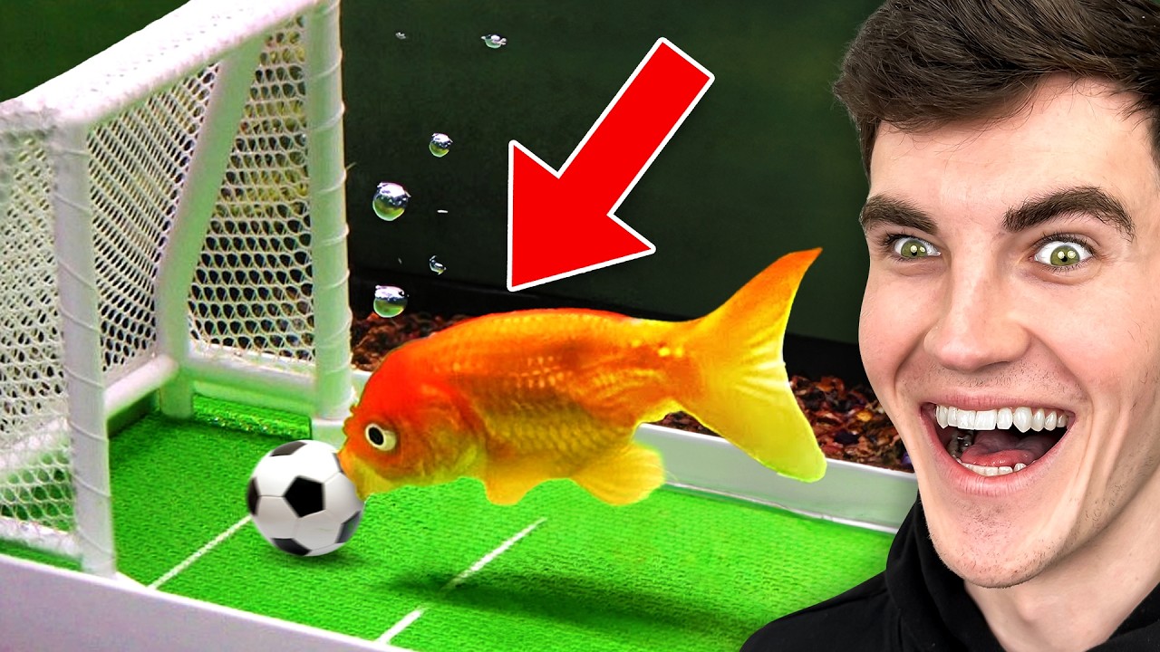 Les ANIMAUX les plus INTELLIGENTS au MONDE! 900QI