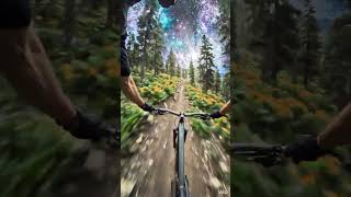 Forest Descent Under the Starry Sky#sky #skyrim #forest #descentralizadas #foryou