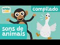 SONS DE ANIMAIS | vídeo infantil educativo |SÉRIE ACHOU!