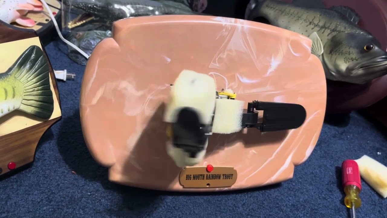 Big Mouth Rainbow Trout Without Skin