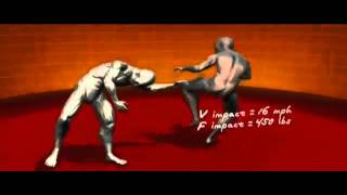 Master Moves of Sambo Russian Extreme Fighting   Human Weapon