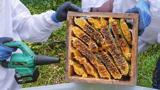 Inside the Weird Ancient Japanese Method of Honey Production