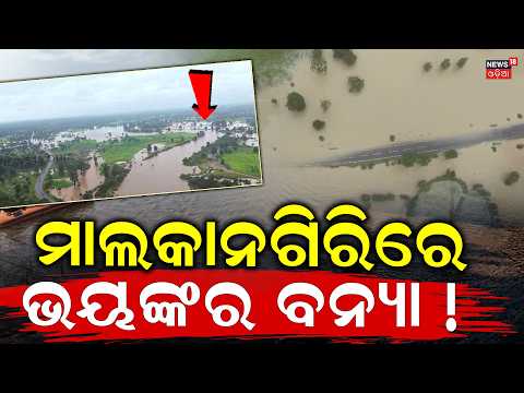 ମାଲକାନଗିରିରେ ଭୟଙ୍କର ସ୍ଥିତି | Malkangiri Flood Situation Worsens After Heavy Rain | Pangam Bridge