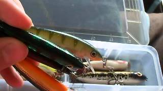 Crankbait box