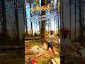 Why did you run away and stop there for a while?#fall #stihl #treecutting #woodworking #shorts #how