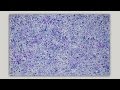 Acrylic painting  speckled background  acrylic painting tutorial