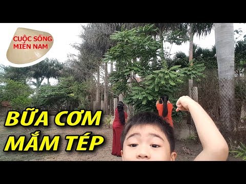 Video Món ngon quê nhà: qua hàng xóm hái rau về ăn mắm tép -... - youtube