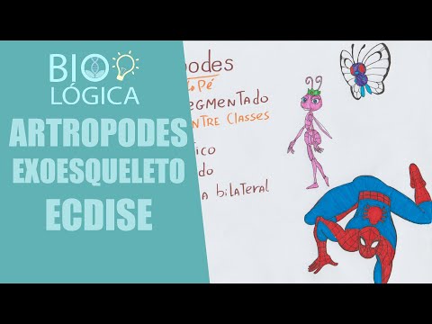 Vídeo: De que é feita a ecdisona?