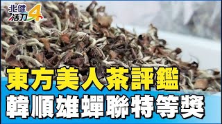 茶比賽|全國東方美人茶評鑑韓順雄蟬連特等獎 