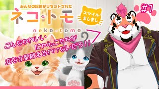 【ネコトモスマイルましまし】みんなの記憶が消えたネコトモ【DNG総長】
